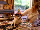 Birthday Peanut