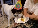 Birthday Peanut