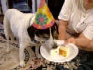 Birthday Peanut