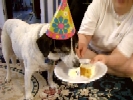 Birthday Peanut
